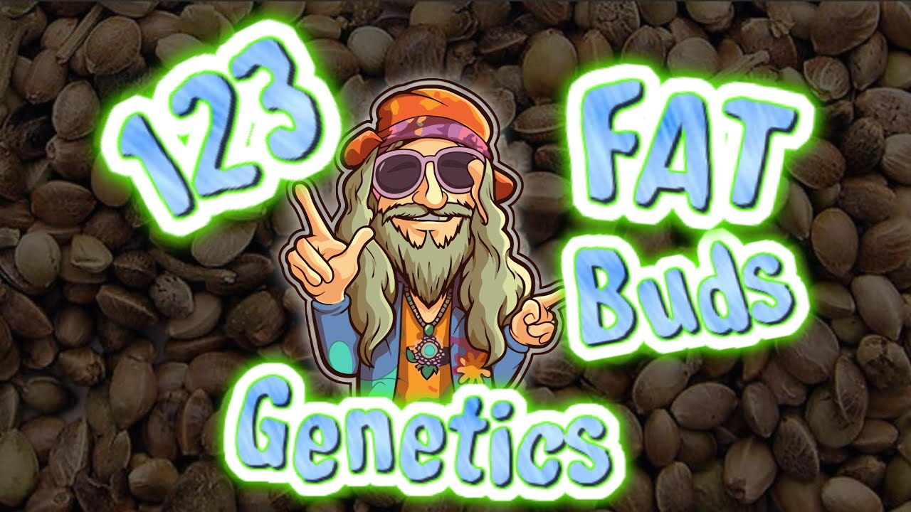 Давайте заведём детей, дамы!!! 😂🤣😂😛