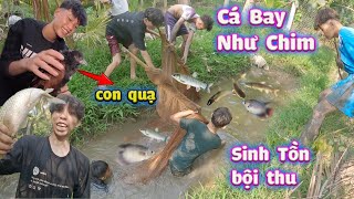 Sinh Tồn Bội Thu Cá - Bắt Được Chim Lạ #trangandvinh