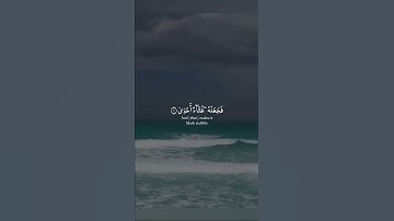 #عبدالرحمن_مسعد #تلاوات #القرآن_الكريم #تلاوة_خاشعة #القرآن #آيات #تلاوة #quran #قرآن#قران_كريم#ترند