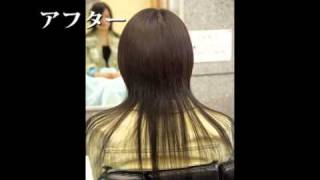 シールエクステ 理容室 美容室ロイヤル