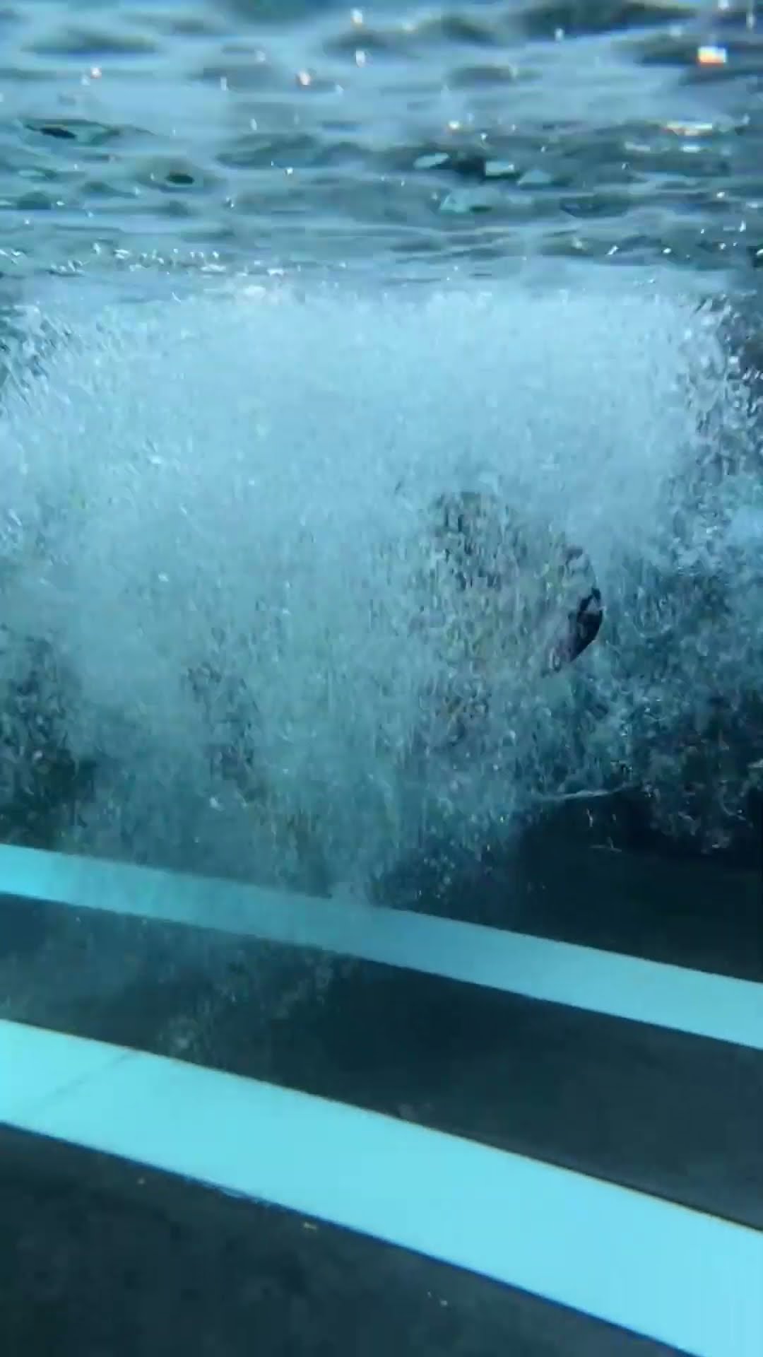 under water mic ?