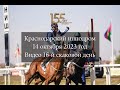 Видео 16 скаковой день 14 10 2023г Краснодарский ипподром