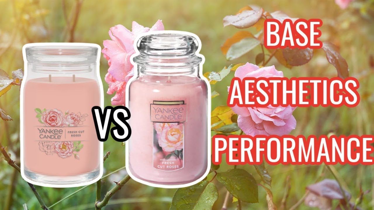 Yankee Candle Signature Collection vs Traditional Paraffin: Which One is  Better? 