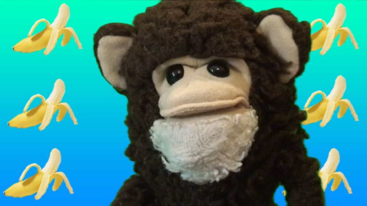 Monkey Mondays! - YouTube