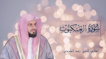 ترتيل جميل لسورة العنكبوت كاملة للشيخ رعد الكردي