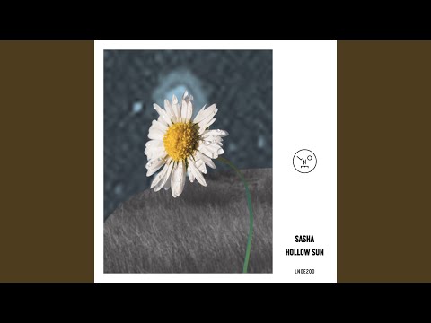 Hollow Sun