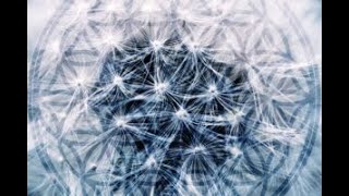 Неделя С 31 Октября По 6 Ноября 2022 Года Christine Clemmer