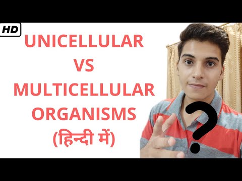 UNICELLULAR VS MULTICELLULAR ORGANISMS(हिन्दी में) | sachin jangra |