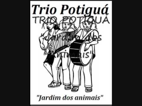 trio potigua jardim dos animais trio potigua jardim dos animais