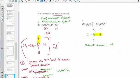 Chapter 18 Amines and Neurotransmitters Lesson 3 Ammonium Salts