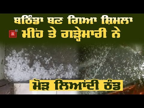 Bathinda `ਚ ਗੜ੍ਹੇਮਾਰੀ, ਖੇਤਾਂ `ਚ ਵਿਛੀਆਂ ਫਸਲਾਂ