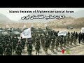 After the wit.rawal of us the forces of the islamic emirate of afghanistan have been strengthened