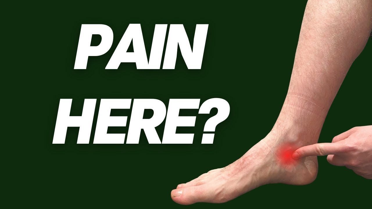 Posterior Tibial Tendon Dysfunction EVERYTHING YOU NEED TO KNOW Inner 