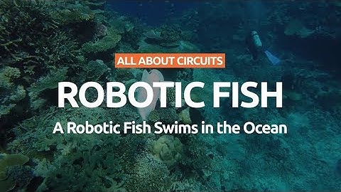 Soft Robotic Fish Swims in Coral Reefs