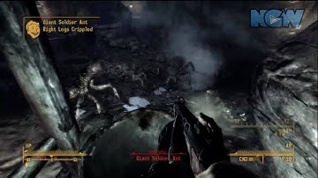 Fallout 3: The Superhuman Gambit - The AntAngonizer | WikiGameGuides