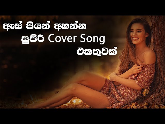 හිතට දැනෙන Cover Collection එක | VOL 22 | Best Sinhala Cover Song Collection | SL Evoke Music class=