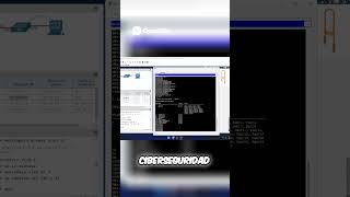 Cisco VLANs | Evita Estas VLANs para Mayor Ciberseguridad