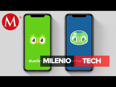 Video: ¿Puedes realmente aprender un idioma con duolingo?