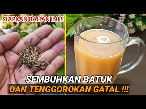 Video: Sirup Pisang Raja Theiss - Petunjuk Penggunaan Untuk Batuk, Ulasan