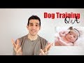 How to Introduce Your Dog to a Baby