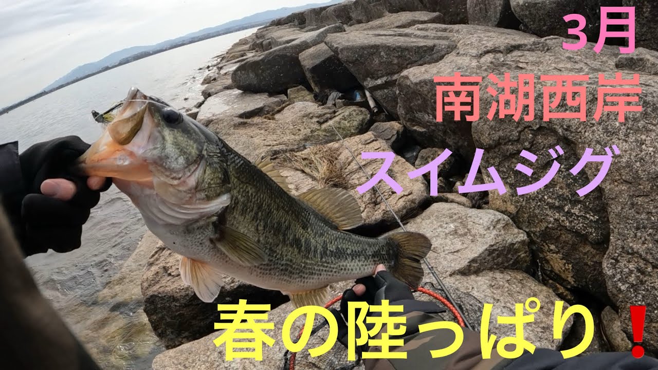 【バス釣り】春の陸っぱり❗️巻き好調❗️ 琵琶湖　南湖