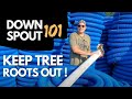 How to Keep Tree Roots Out Of Buried Downspouts [ Full Installation ]