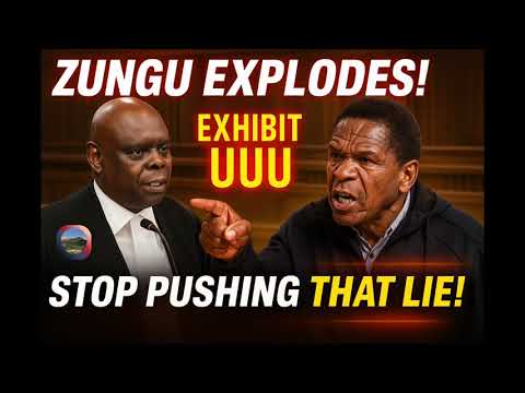Zungu EXPLODES In Court BLASTS Out Baloyi For Pushing A LIE