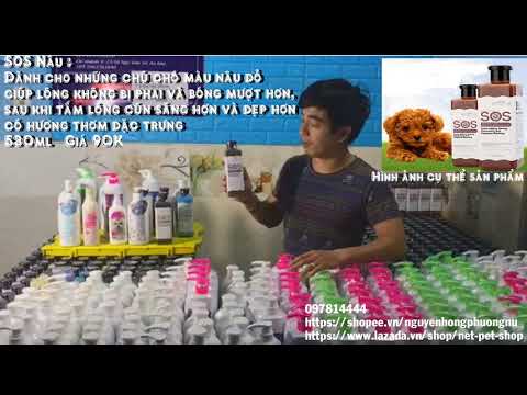 TMT - Các loại sữa tắm cho chó ở bên mình