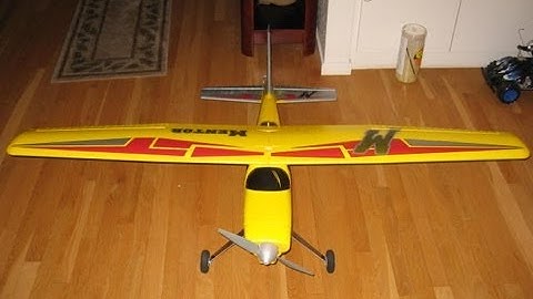 Multiplex Mentor with Floats