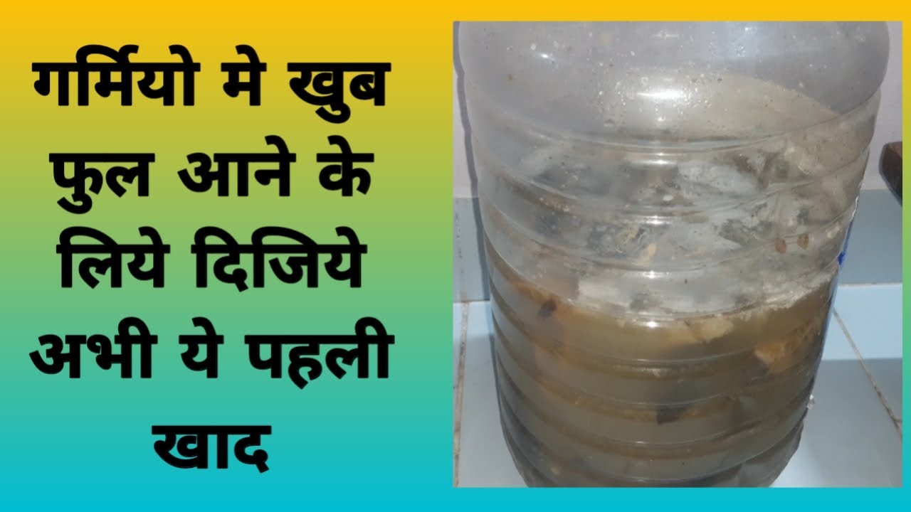 best liquid fertilizer for flowering in hindi banana peel Fertilizer