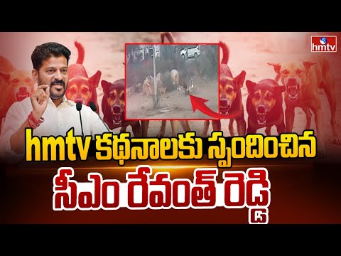 వీధికుక్కల స్వైరవిహారంపై hmtv కథనాలకు స్పందించిన సీఎం రేవంత్ రెడ్డి | CM Revanth Reddy Response