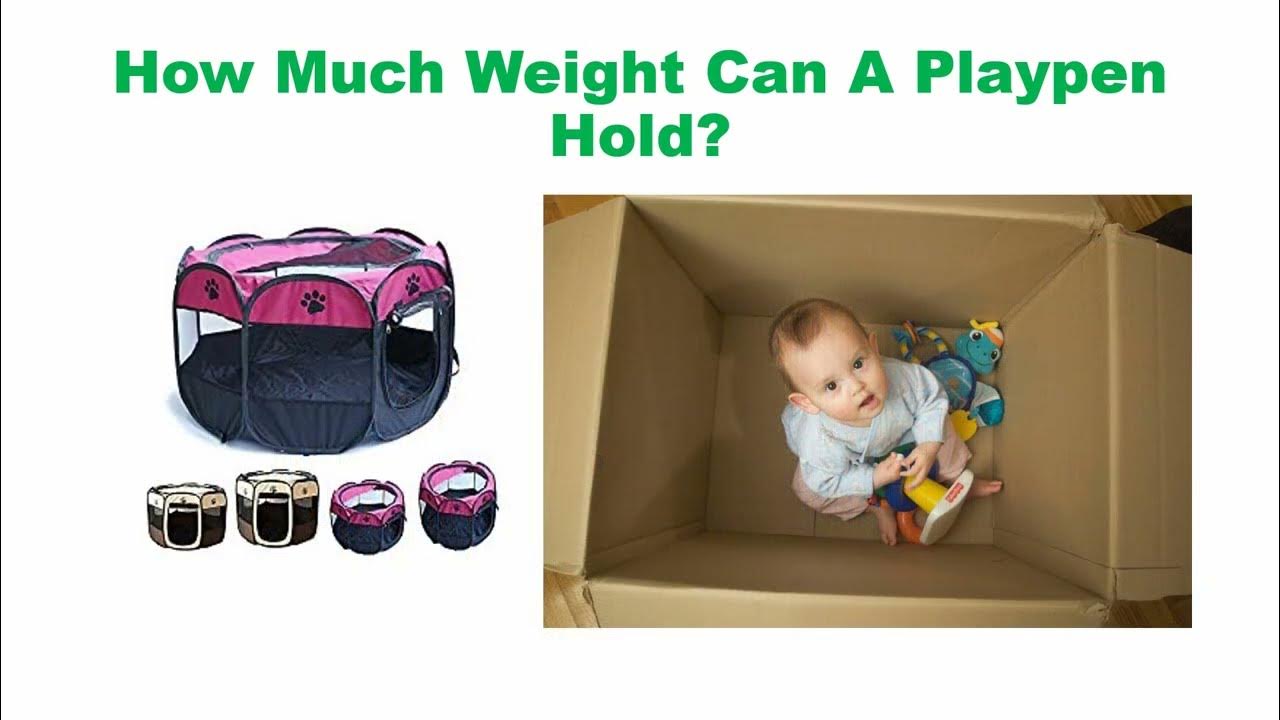 How Much Weight Can A Playpen Hold? Care U Kiddo YouTube