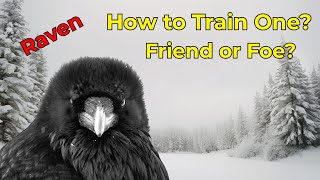How to Tame a Raven: Friend or Foe? Shocking Facts! 🐦⬛🤔 #Ravens #Wildlife #Birds