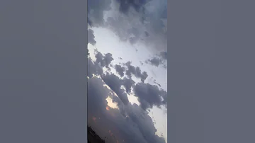 شهد العسل ن 