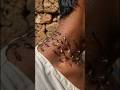 Aakhri upay~wood working art skill wood / hand crafts #shorts #comedyeffect