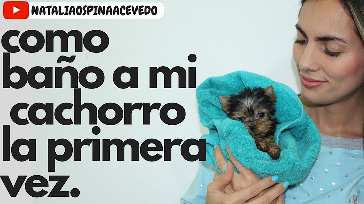 Como baño a mi  perro cachorro la primera vez - Tips by Natalia Ospina