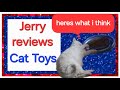 👀 CAT TOY REVIEW!!! Watch my 4 cat&#39;s playing with new ball toy.  So cute 🥰 #funnycatvideos #cats ✨