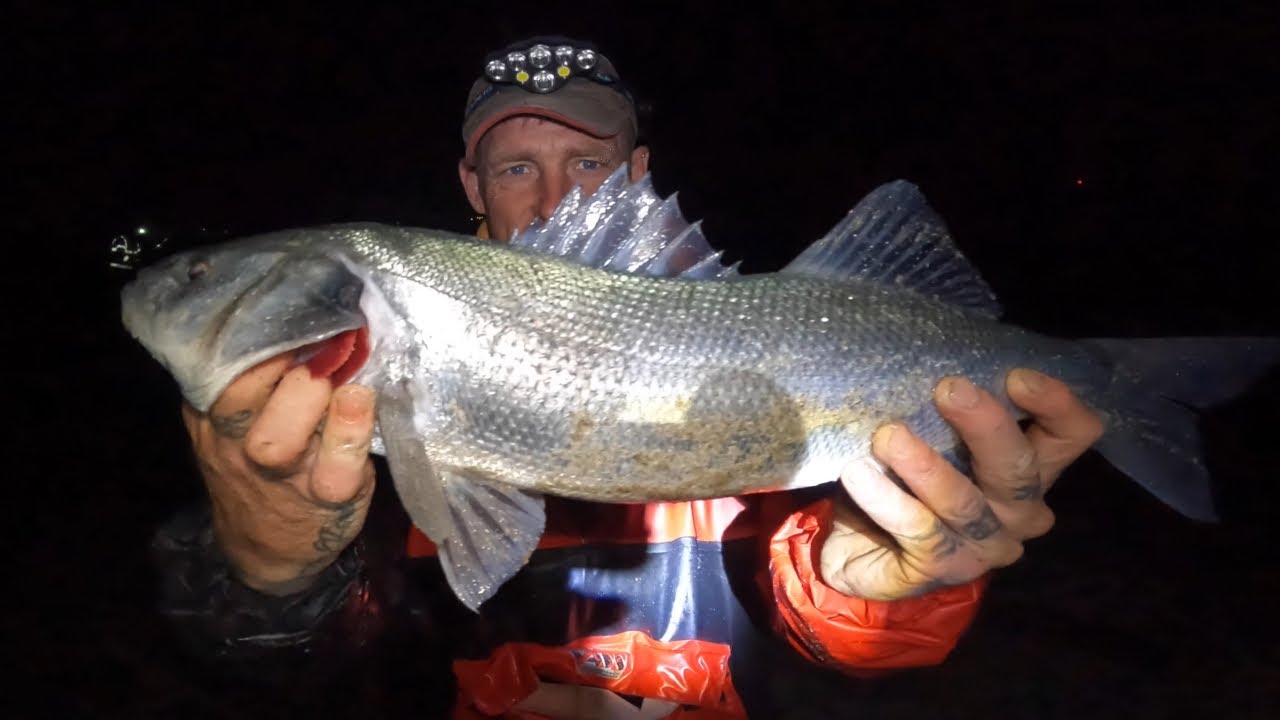 The Best Shore Fishing Trip Ever! BIG Bass, Gilthead Bream! Float