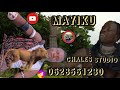 MAYIKU SAYI JIWE LA GIZANI 0628561230 MSAMBAZAJI 2025 CHALES STUDIO MAYIKU SAYI JIWE LA GIZANI 0628561230 MSAMBAZAJI 2025 CHALES STUDIO