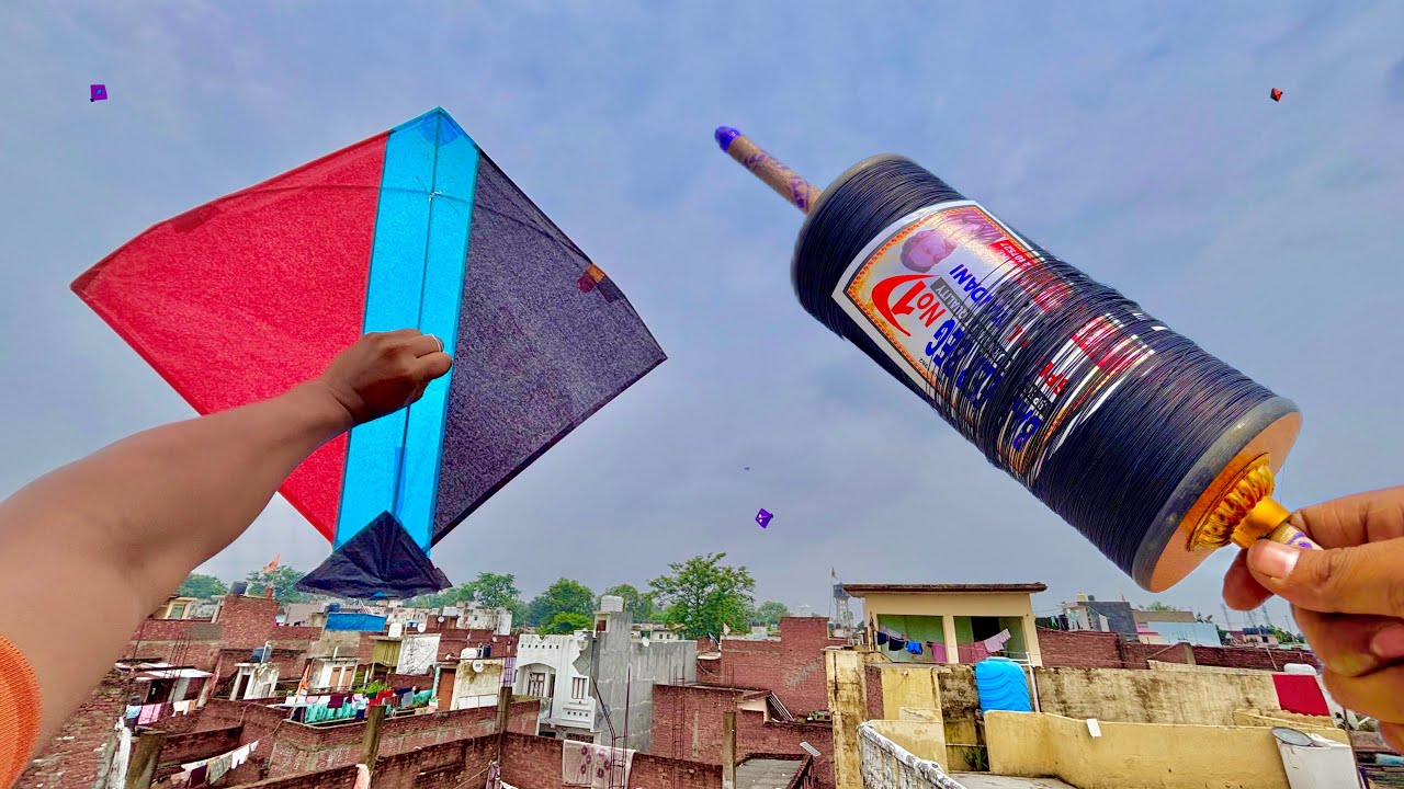 Kite Flying On Rakshabandhan | Kite Cutting | Kite Fighting | Kite Looting