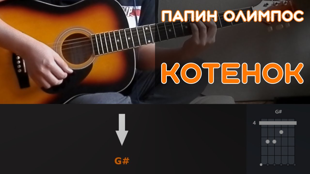 Папин олимпос котенок. Папин олимпос котенок. Папин олимпос. Папин олимпос осень. Папин олимпос мерч.