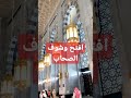 شوف الجمال