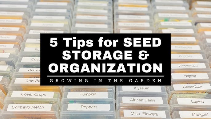 Best Seed Storage Containers - Life On Knoll 22