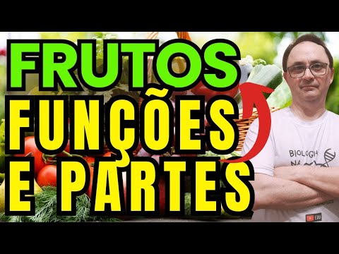 FRUTOS - FUNÇÕES E PARTES EM PLANTAS ANGIOSPERMAS.