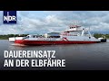 Elbfähre: Stress zwischen Schlick und Stau | Die Nordreportage | NDR Doku