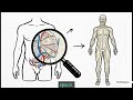 The Ultimate User Manual (Human Anatomy & Physiology)