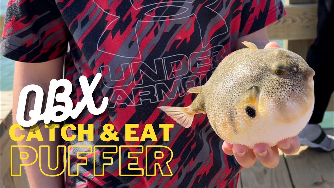 How to Clean & Cook Northern Puffer Fish AKA Blow Toad/Sea Squab