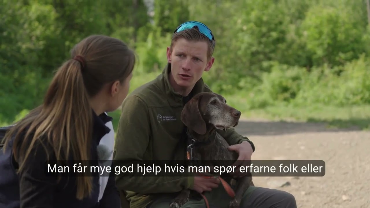 Hvordan trene hunden før jakta