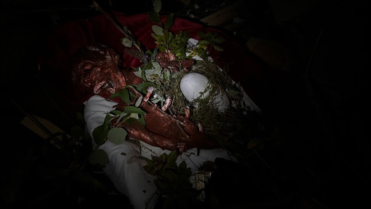 Monster House - Dinosaur Horror Short (The Cicada Codex)