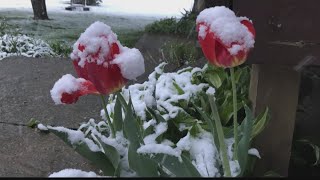 Snow totals in Wheeling: Are they decreasing